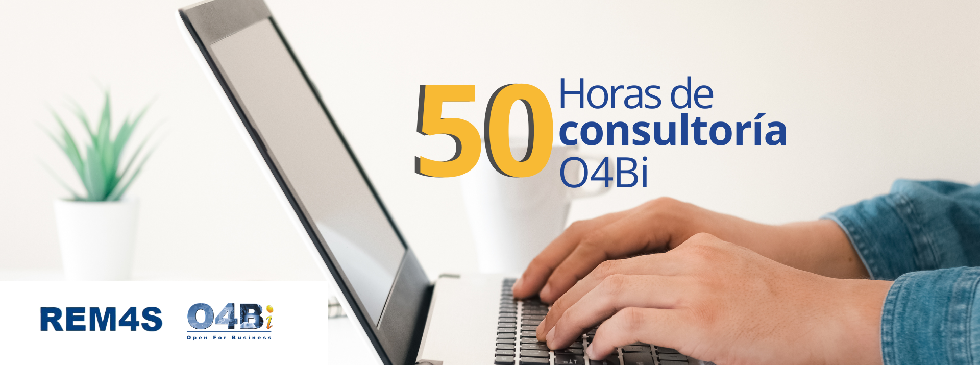 12 horas consultoria